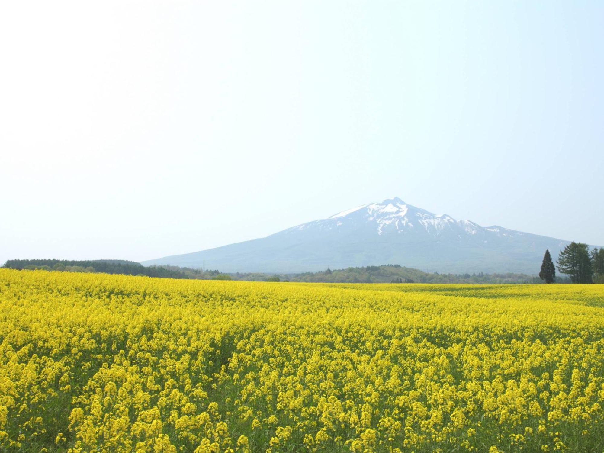 Apa Hotel Aomori Ekihigashi Exteriér fotografie